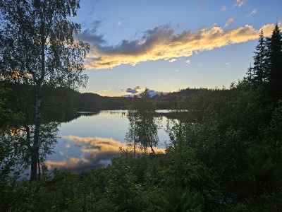 Sommernatt på Krokskogen