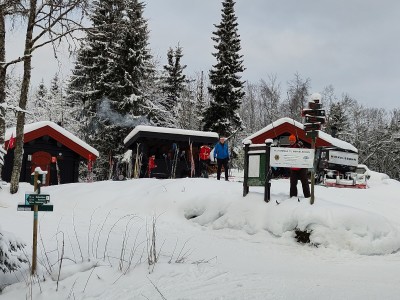 Mikkelsbonn i Vestmarka