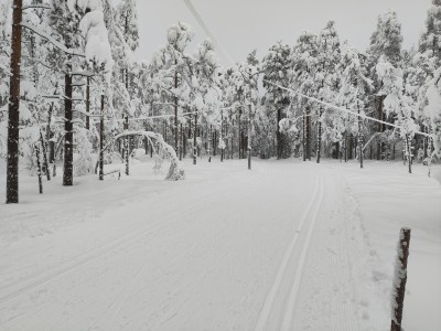 Fra en vinterdag i Oslomarka