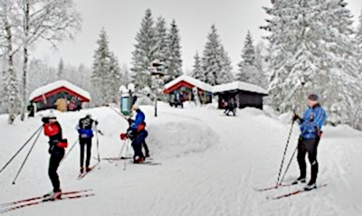 Fra en vinterdag i Oslomarka